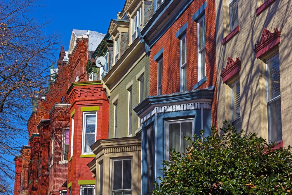 The Best of Tenleytown, DC: Books, Bagels, and Backyard Vibes